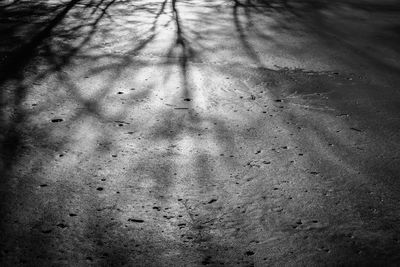 Close-up of shadow on ground