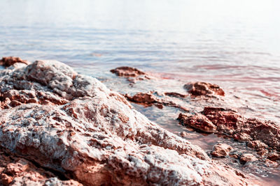 Close-up of rocks on beach