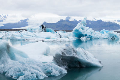 ice