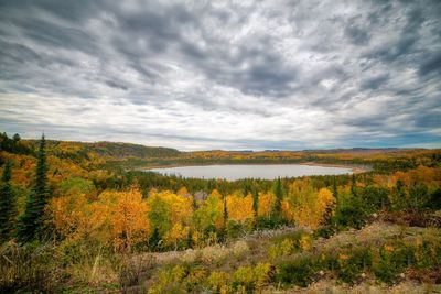 Scenic view of landscape against sky during autumn