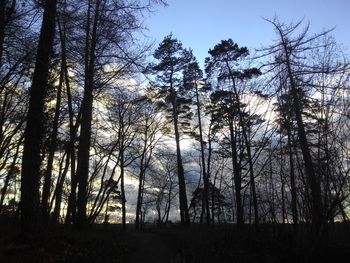 Silhouette of trees in forest against sky