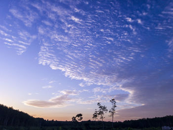 Low angle view of silhouette trees against sky during sunset