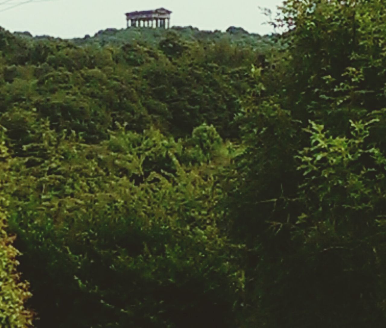 Washington riverside penshaw monument