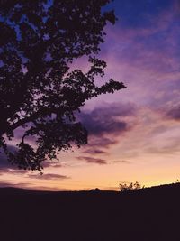 Silhouette tree against sky during sunset