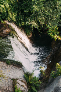 Scenic view of waterfall in forest