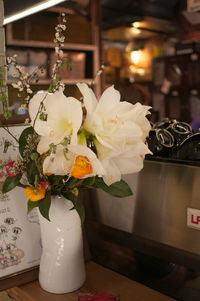 Close-up of flowers in vase