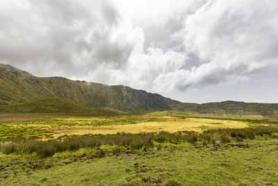 Scenic view of field against sky