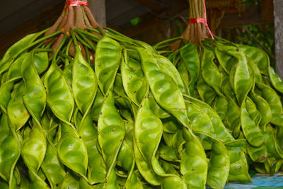 Close-up of green leaves in market