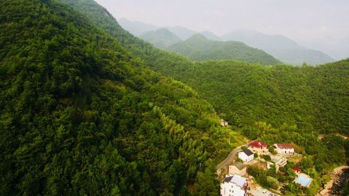 High angle view of trees on landscape against sky