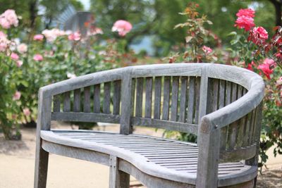 Close-up of chair on plant