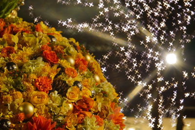 Close-up of yellow flowering plants during sunset