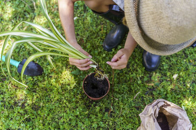 Midsection of person holding food on plant