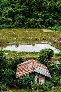 Scenic view of green grass and trees