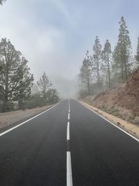 Empty road along trees and plants against sky