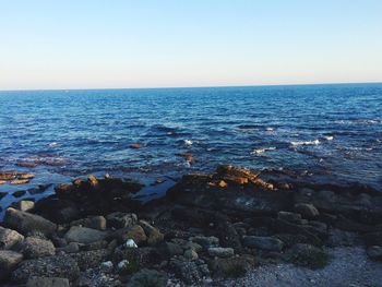 Scenic view of sea against clear sky