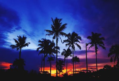 Silhouette of palm trees against cloudy sky