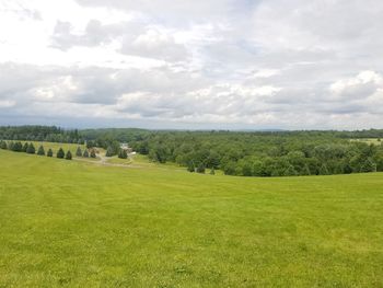 Scenic view of grassy field against sky