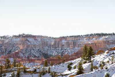 First sights of the incredible byrce canyon national park from sunrise point at midday