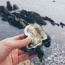 Person holding ice cream cone at beach