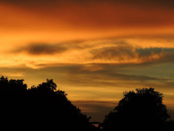 Low angle view of silhouette trees against orange sky