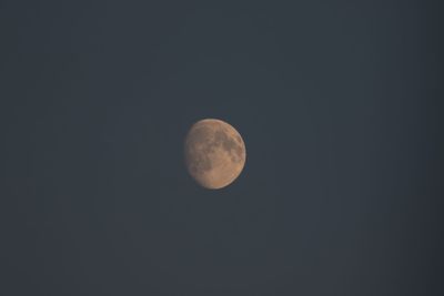 Low angle view of moon against clear sky at night