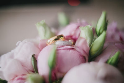 Close-up of wedding rings on pink flowers