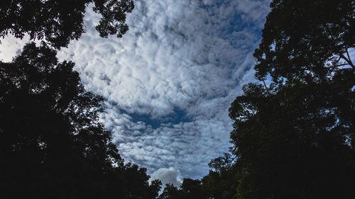 Low angle view of silhouette trees against sky