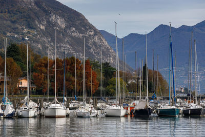 Sailboats in marina