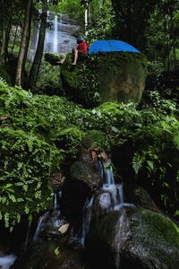 Waterfall amidst rocks in forest