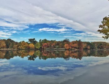 Reflection of trees in calm lake