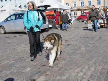 Portrait of dog on footpath in city