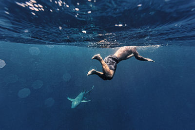 Man swimming by shark in sea