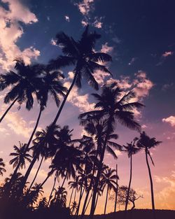 Low angle view of silhouette tree against sky at sunset