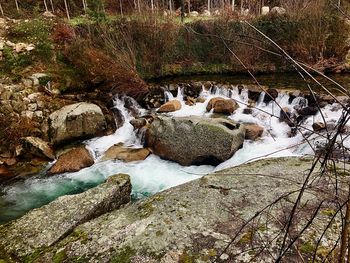 Flock of sheep on rock by river