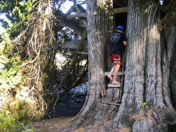 Full length of senior man on tree trunk