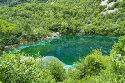 Panoramic view of the small lake of cornino, friuli venezia giulia region, italy