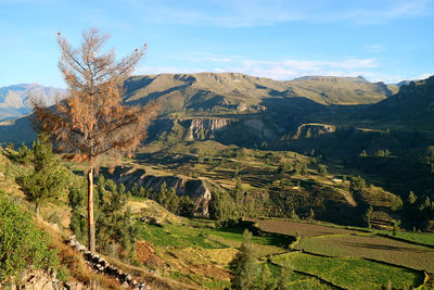 Scenic view of landscape against sky