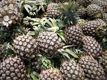 Close-up of fruits for sale in market