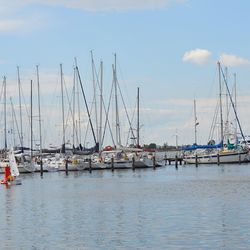 Boats moored at harbor