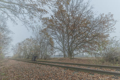 Railroad tracks amidst trees on field against sky