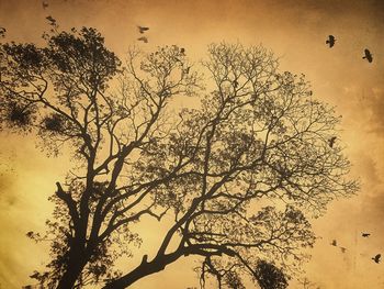 Low angle view of silhouette birds flying against sky