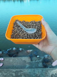 Close-up of hand holding ice cream