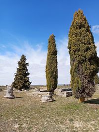 Stone wall against trees and sky