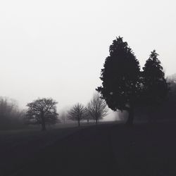 Empty road in field
