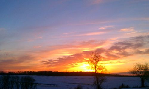 Silhouette of trees on landscape at sunset