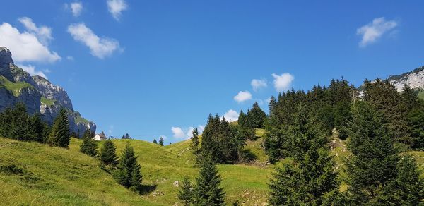 Panoramic view of trees on landscape against sky