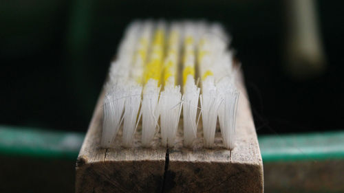 Close-up of lemon slice on wood