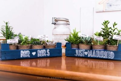 Close-up of potted plants on table