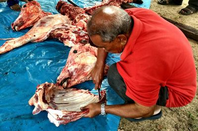 High angle view of man holding fish