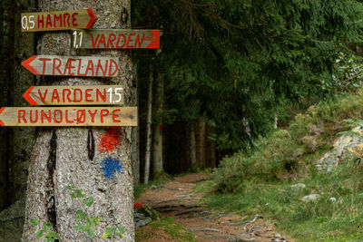 Information sign in a forest